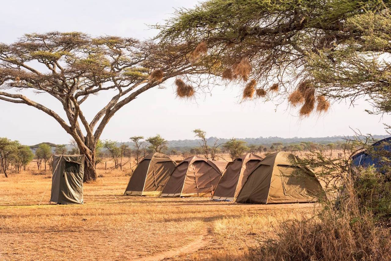 3 Days Best Tanzania budget camping, Serengeti and ngorongoro will take you to Serengeti national park