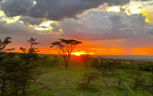 4-days Mid-Range Safari tour Tanzania