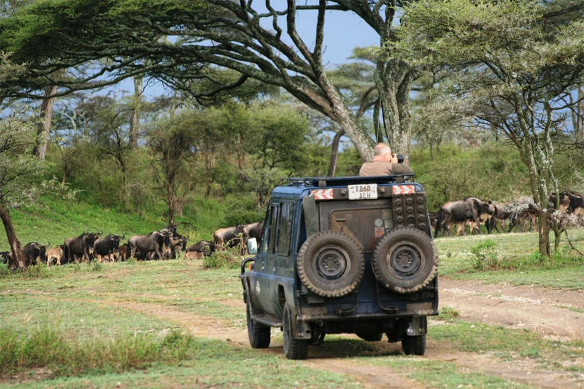 Tanzania Safari 6 Days Mid-Range tour we will visit Lake Manyara Park, Serengeti National Park, Ngorongoro Crater and Tarangire National Park