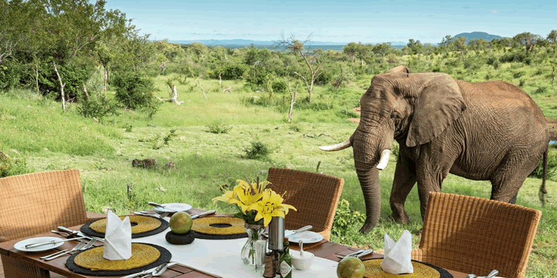 The Best 6 Days luxury lodge Safari Tanzania