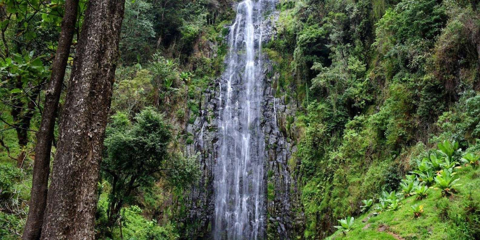 The Best Materuni Waterfall Day Trip, Materuni water fall is one if the impressive water fall found around Kilimanjaro national park